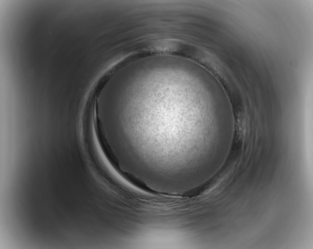 X0000088750726200706071720