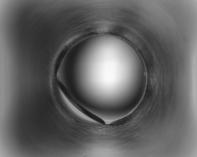 X0000088750728200706071720