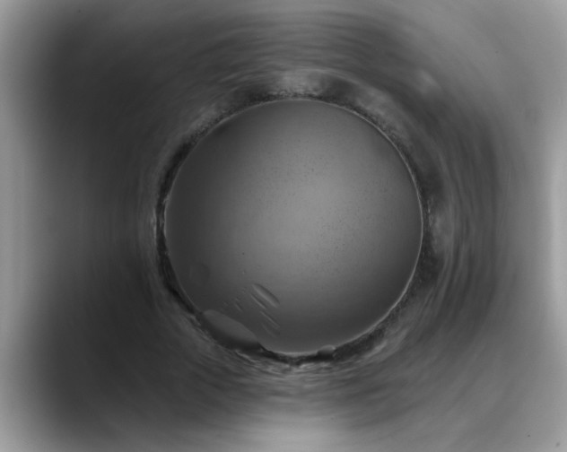 X0000088750729200706071720