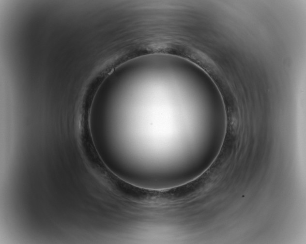 X0000088750732200706071720