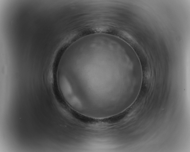 X0000088750734200706071720