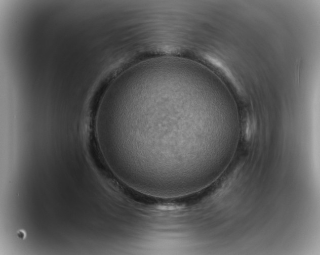 X0000088750736200706071720