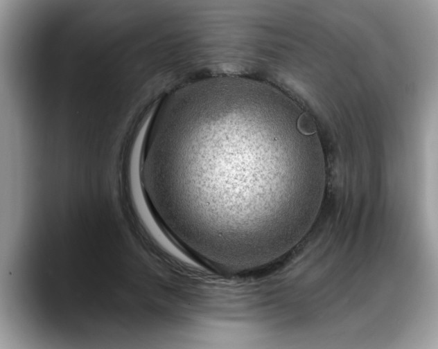 X0000088750738200706071720