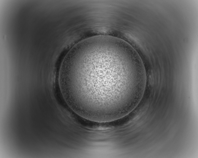 X0000088750739200706071720