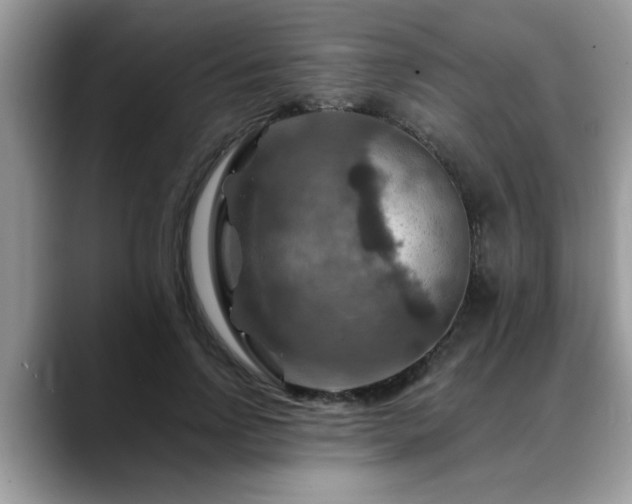 X0000088750742200706071720