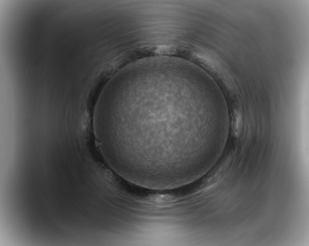 X0000088750748200706071720