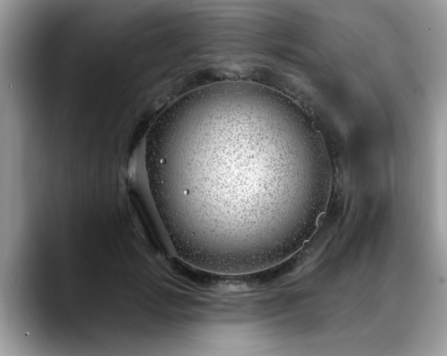 X0000088750749200706071720