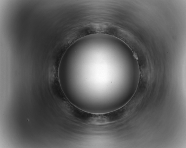 X0000088750752200706071720