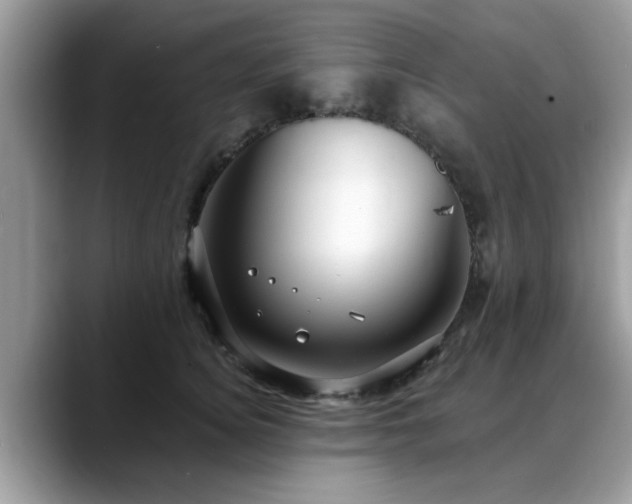 X0000088750756200706071720