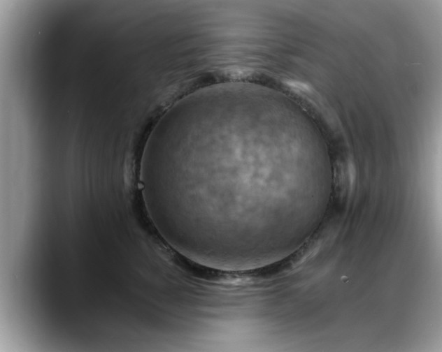 X0000088750760200706071720