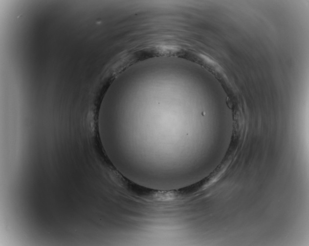 X0000088750762200706071720
