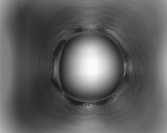 X0000088750764200706071720