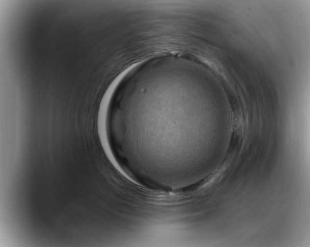 X0000088750766200706071720