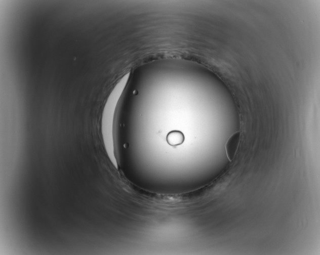 X0000088750768200706071720