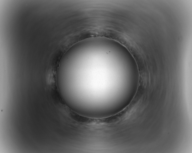 X0000088750770200706071719