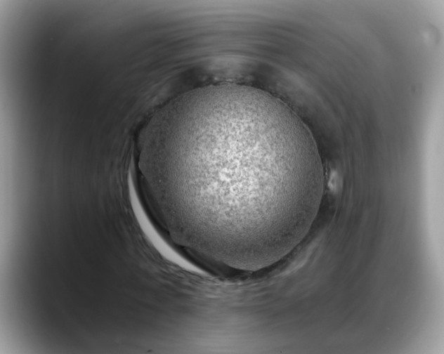 X0000088750771200706071719