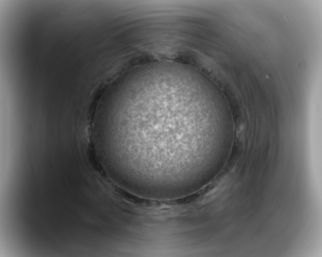 X0000088750772200706071719