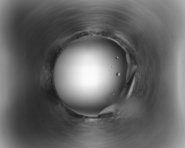 X0000088750773200706071719