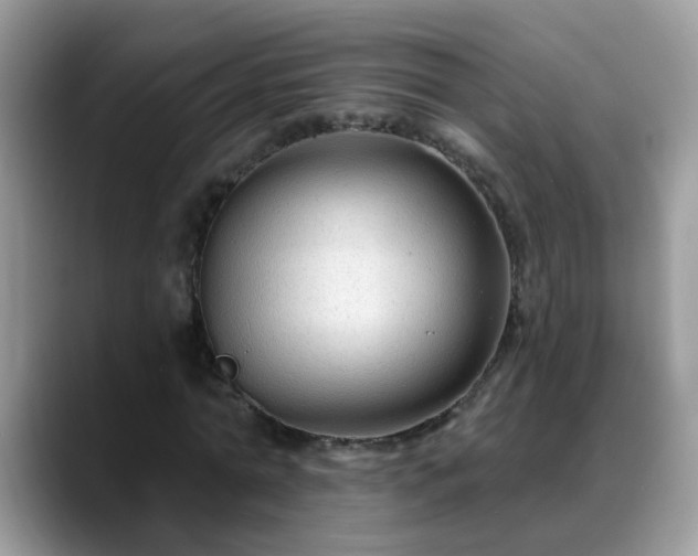 X0000088750774200706071719