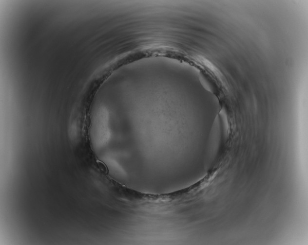 X0000088750775200706071719