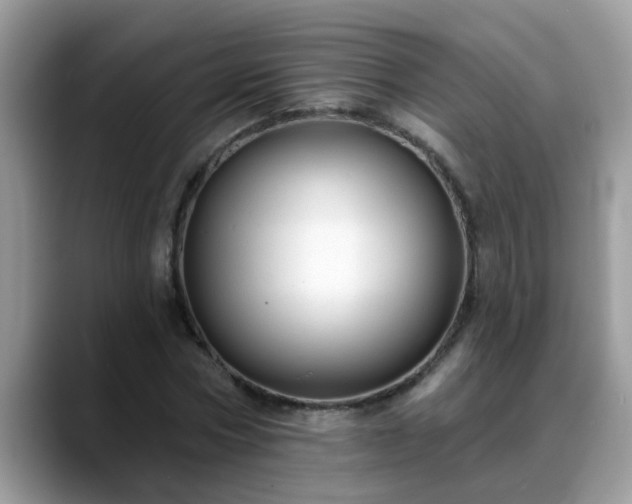 X0000088750778200706071719