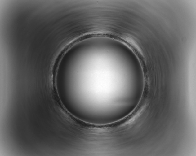 X0000088750781200706071719