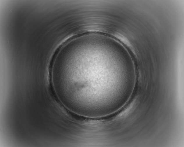 X0000088750782200706071719
