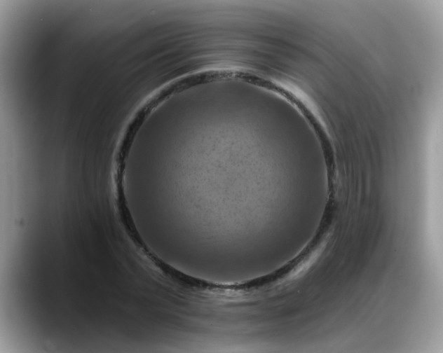 X0000088750783200706071719