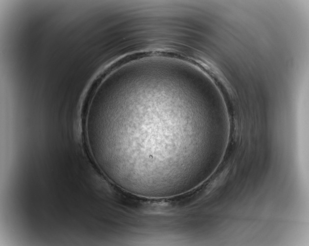 X0000088750784200706071719