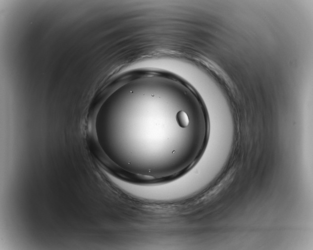 X0000088750785200706071719