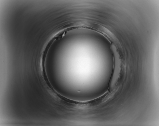 X0000088750788200706071719