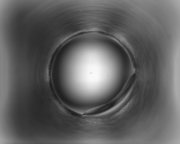 X0000088750789200706071719