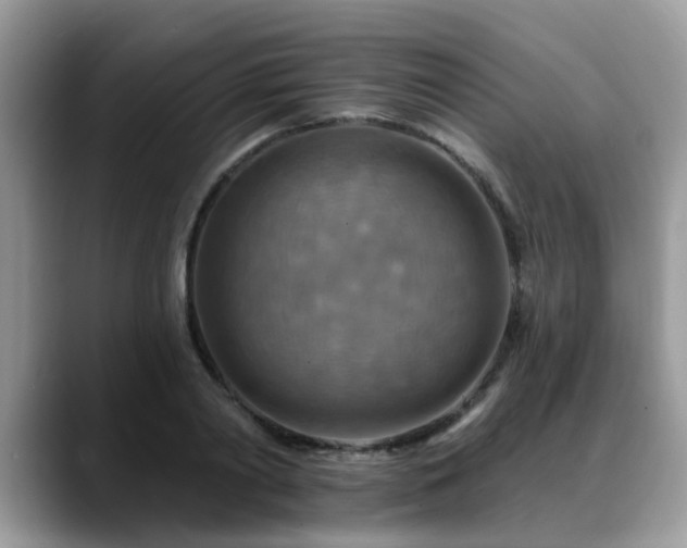 X0000088750790200706071719