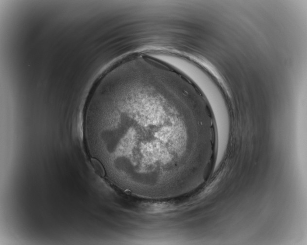 X0000088750791200706071719