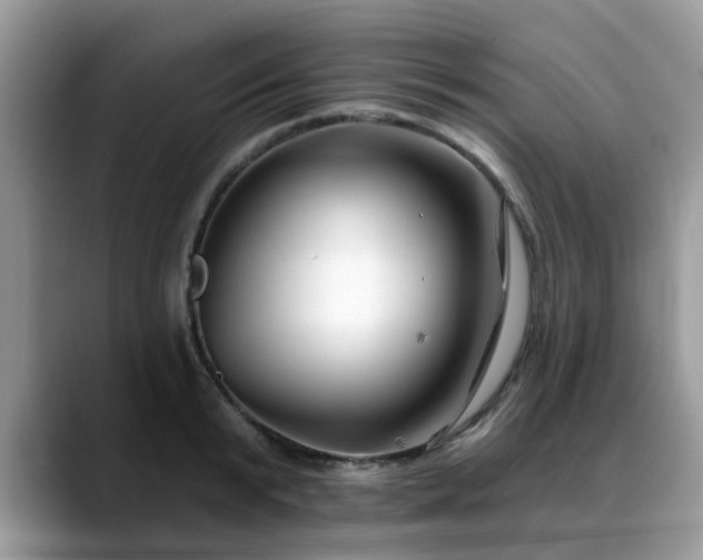X0000088750799200706071719