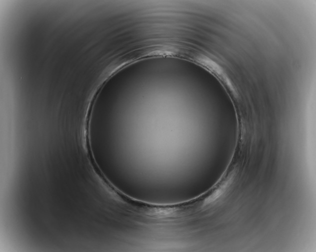 X0000088750802200706071719
