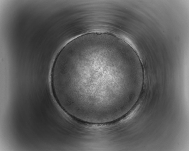 X0000088750803200706071719