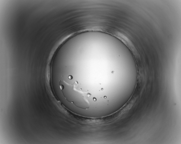 X0000088750804200706071719