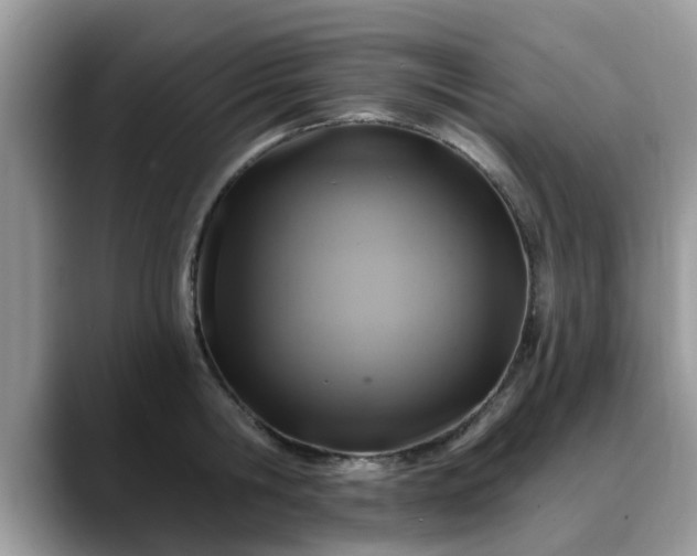 X0000088750806200706071719