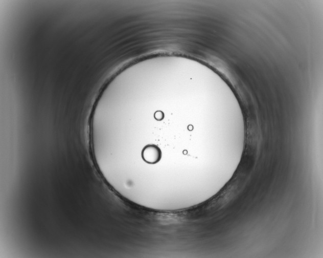 X0000088750807200706071719