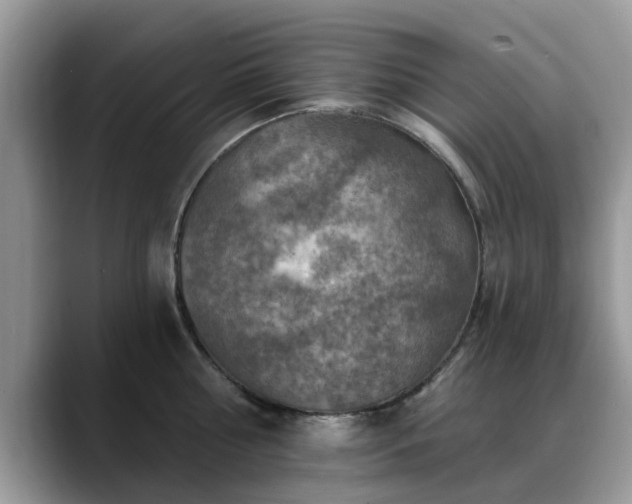 X0000088750810200706071719