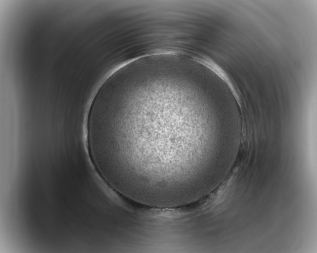X0000088750811200706071719