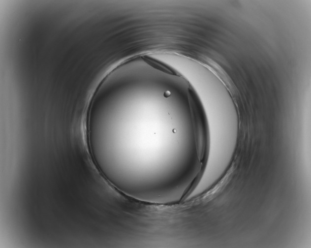 X0000088750812200706071719