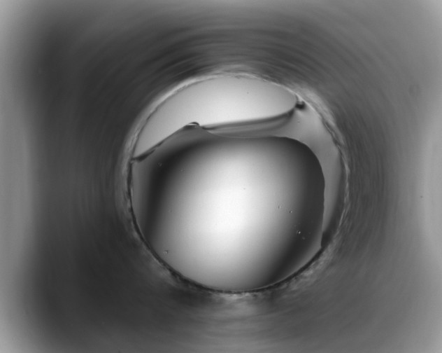 X0000088750816200706071719