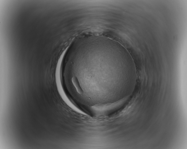 X0000088750818200706071718