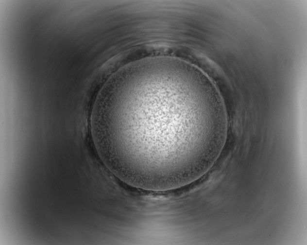 X0000088750821200706071718