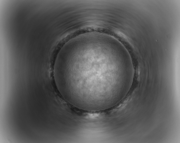 X0000088750822200706071718
