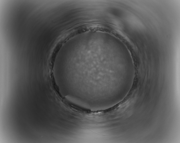 X0000088750823200706071718
