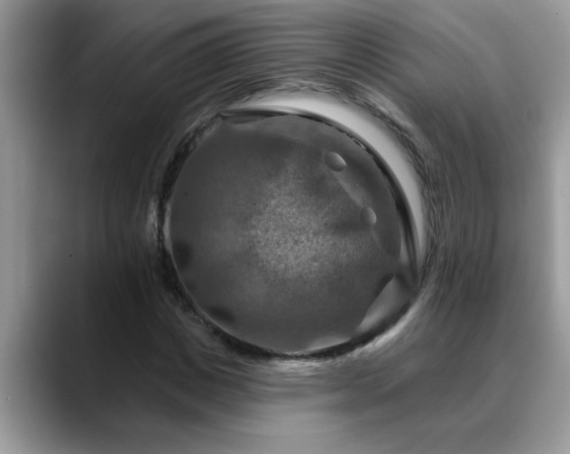 X0000088750825200706071718