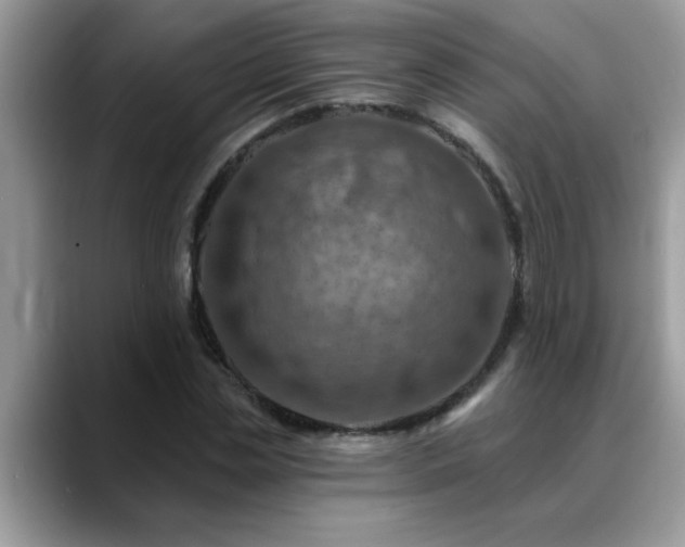 X0000088750829200706071718